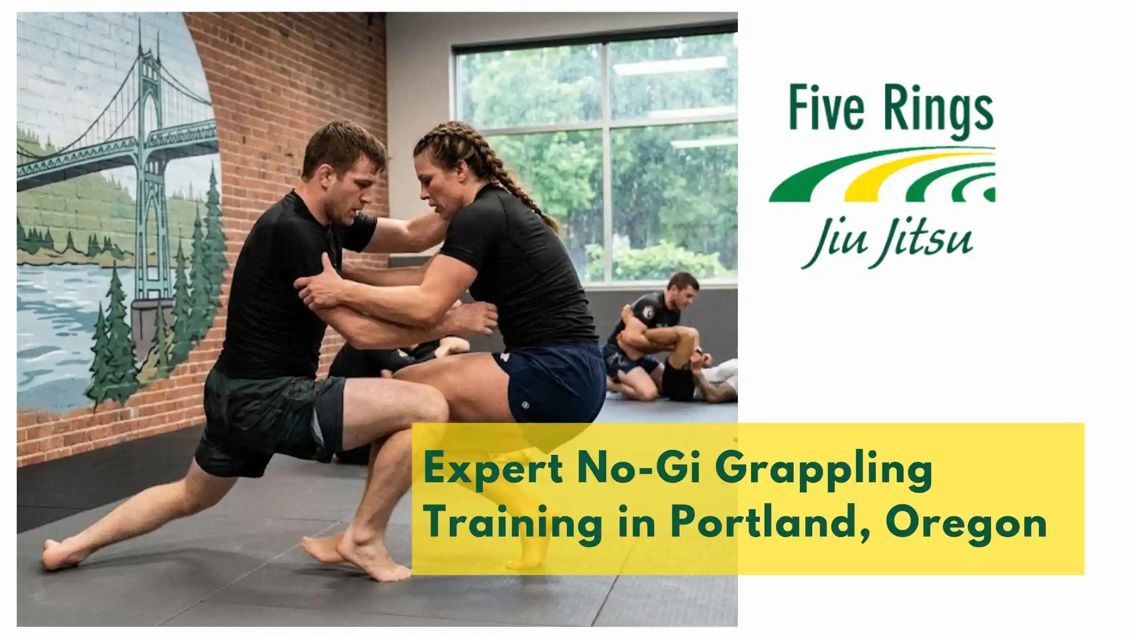 Expert No-Gi Grappling Training in Portland, Oregon